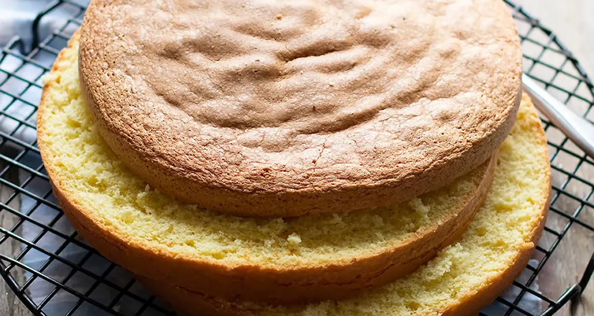 Due dischi di pan di spagna dorato, uno sopra l'altro, su una griglia. Perfetti per una bagna per pan di spagna.