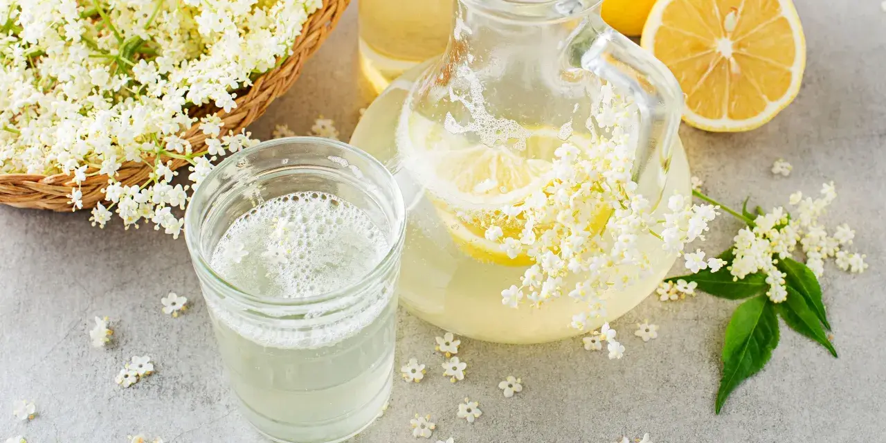 Un bicchiere e una caraffa di sciroppo di sambuco ricetta, con fiori di sambuco freschi e fette di limone.