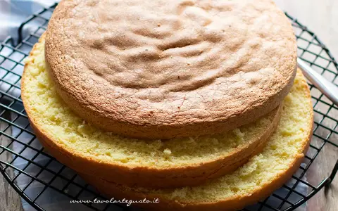 Due dischi di pan di spagna dorato, uno sopra l'altro, su una griglia. Perfetti per una bagna per pan di spagna.