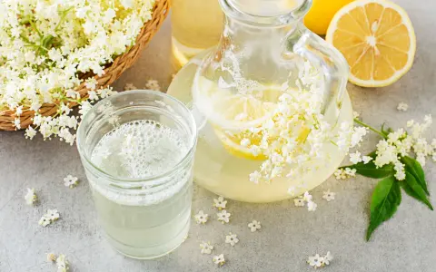 Un bicchiere e una caraffa di sciroppo di sambuco ricetta, con fiori di sambuco freschi e fette di limone.