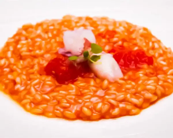 Un cremoso risotto al pomodoro, guarnito con calamari teneri, pomodorini e germogli freschi. Un piatto che celebra i sapori dell'Italia.