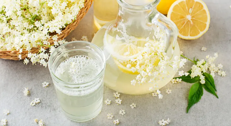 Un bicchiere e una caraffa di sciroppo di sambuco ricetta, con fiori di sambuco freschi e fette di limone.