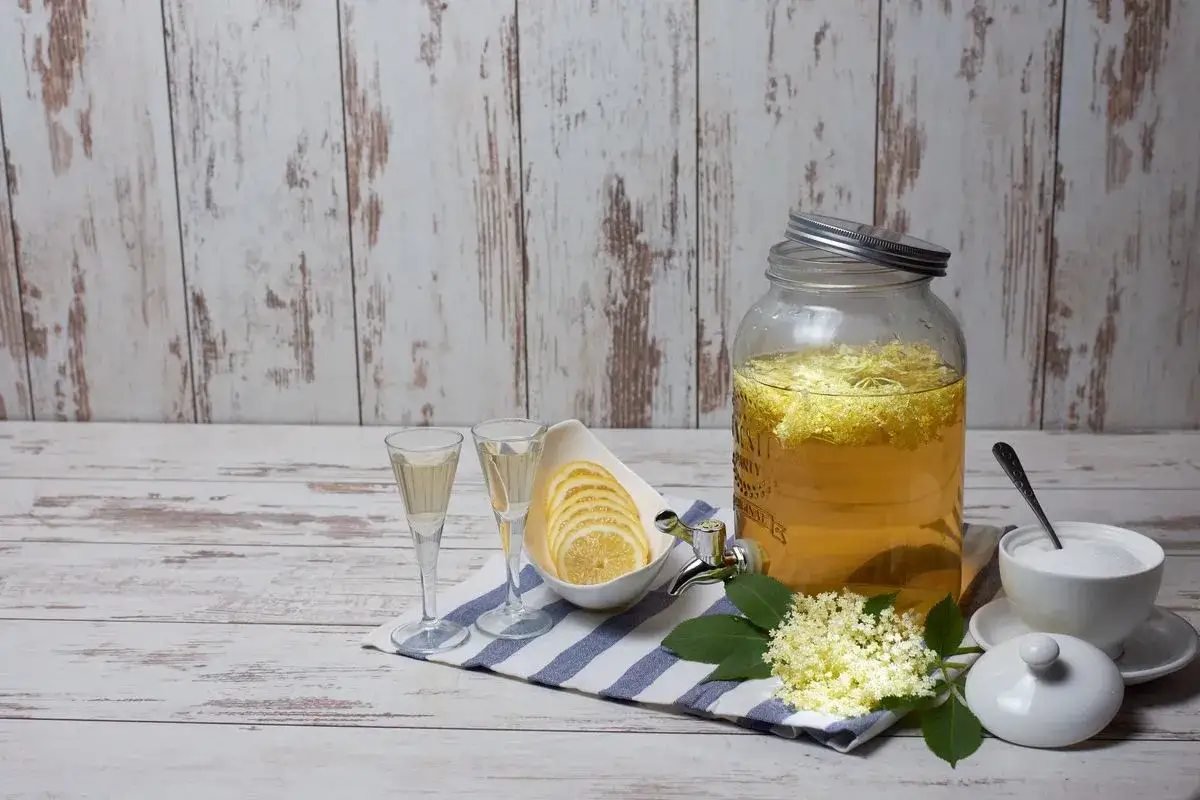 Preparazione sciroppo di sambuco ricetta: fiori freschi, limone a fette, zucchero e due bicchierini pronti per assaggiare.