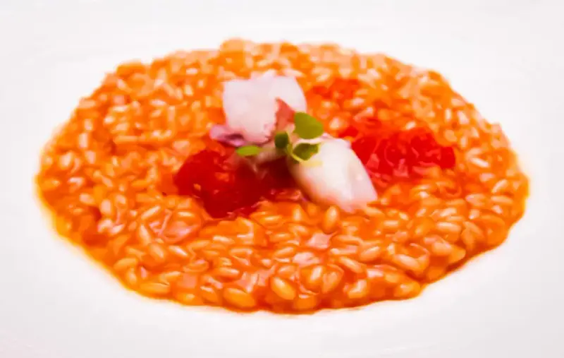 Un cremoso risotto al pomodoro, guarnito con calamari teneri, pomodorini e germogli freschi. Un piatto che celebra i sapori dell'Italia.